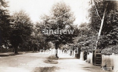 Worcester Park The Avenue Salisbury Road Surrey London 1915/1920 RP Postkarte