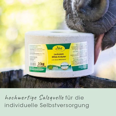 CDVET Leckstein Wilde Kräuter 3kg für Pferde - Darmstärkung für wurmfeindliches Mileu