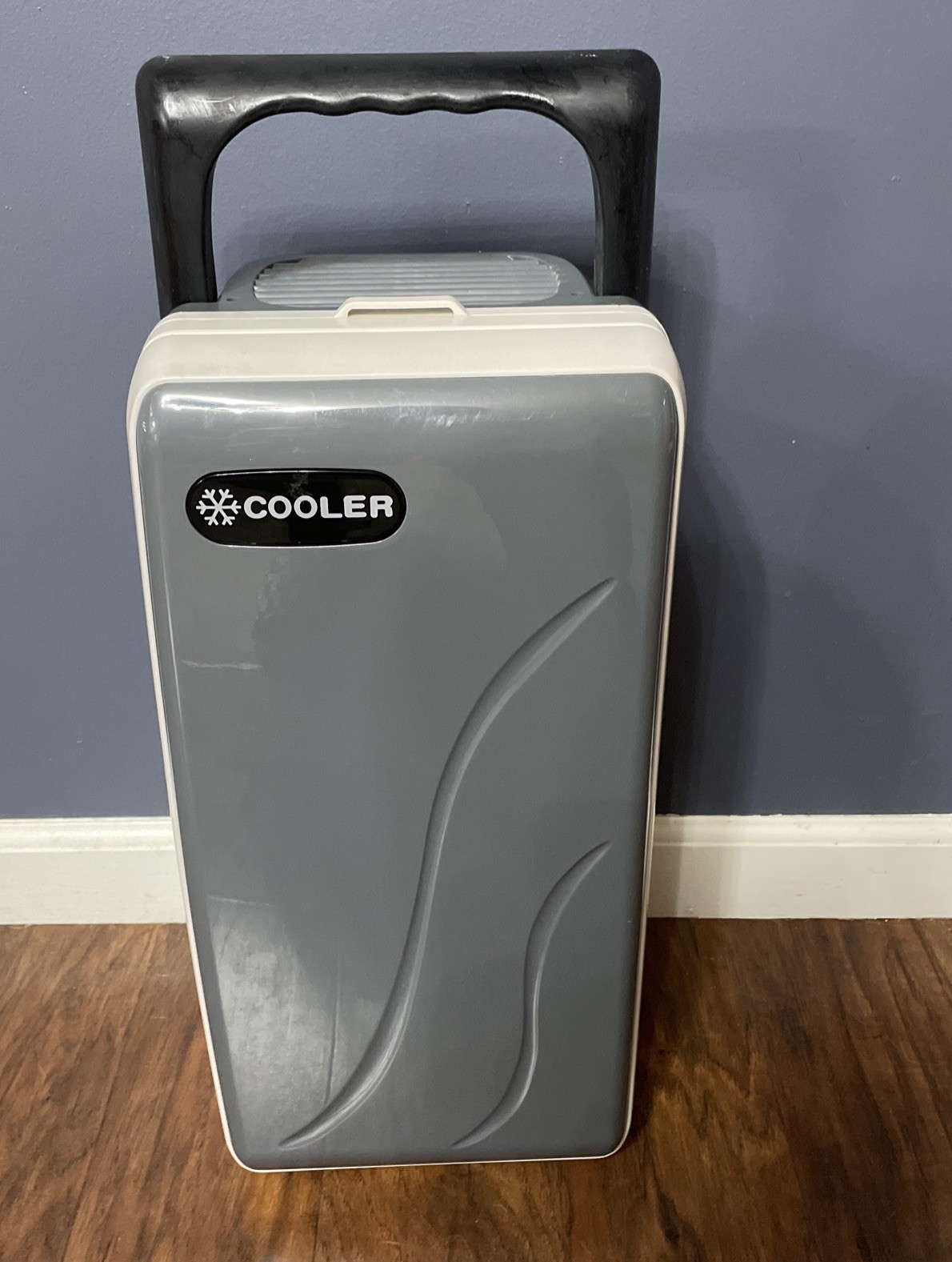 Mini Fridge, 9 Can 12oz Cooler and Warmer Compact Refrigerator with AC/DC Gray