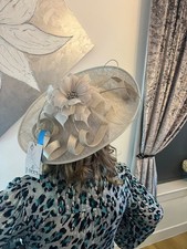 Stunning Silver Grey Jbees Hatinator