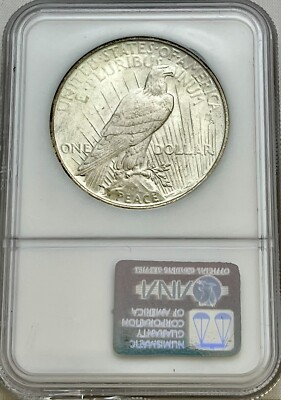 1923 Peace Silver Dollar NGC MS 64 | eBay