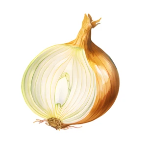 Onion Vegetable Self Adhesive Waterproof Sticker