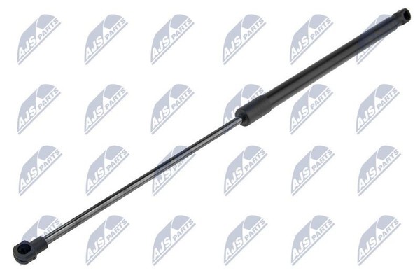 NTY Gasfeder, Koffer-/Laderaum AE-CT-045 FüR CitroËN-image