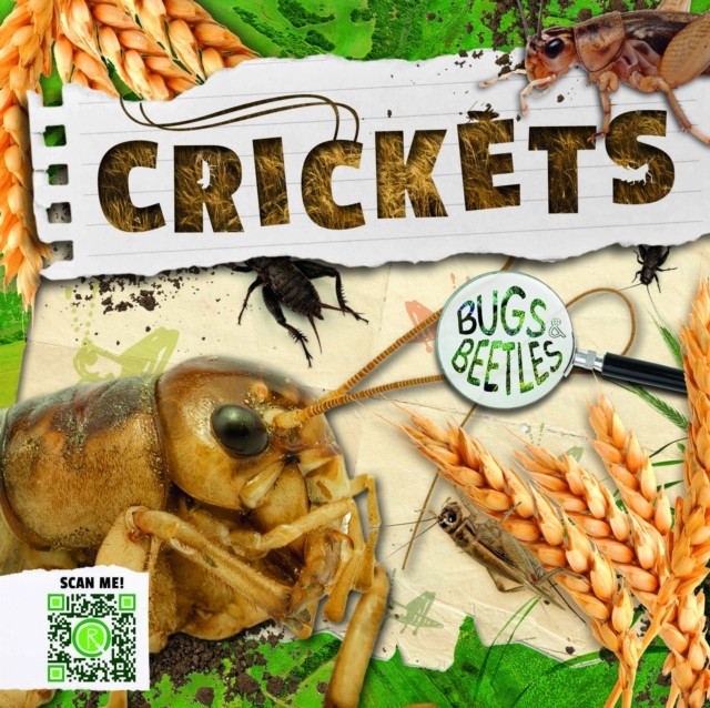 Crickets by William Anthony (Hardback Book)