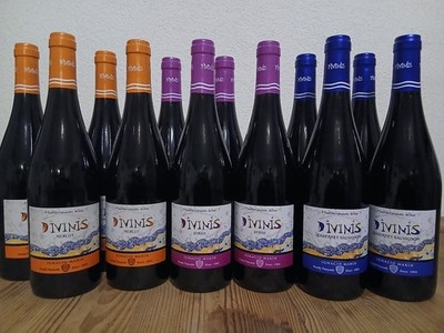 (7,33/1L.) 12 Fl Bodegas Ignacio Marin Divinis Probierpaket Merlot Syrah Caberne