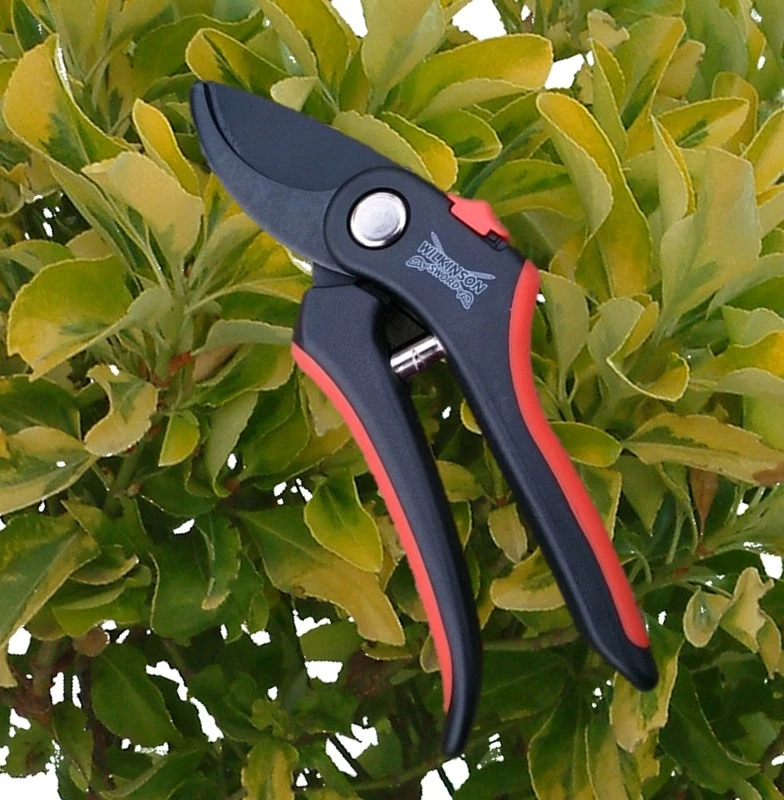 Bypass Pruner Secateurs 20mm from Wilkinson Sword - Soft Grip - FREE POSTAGE