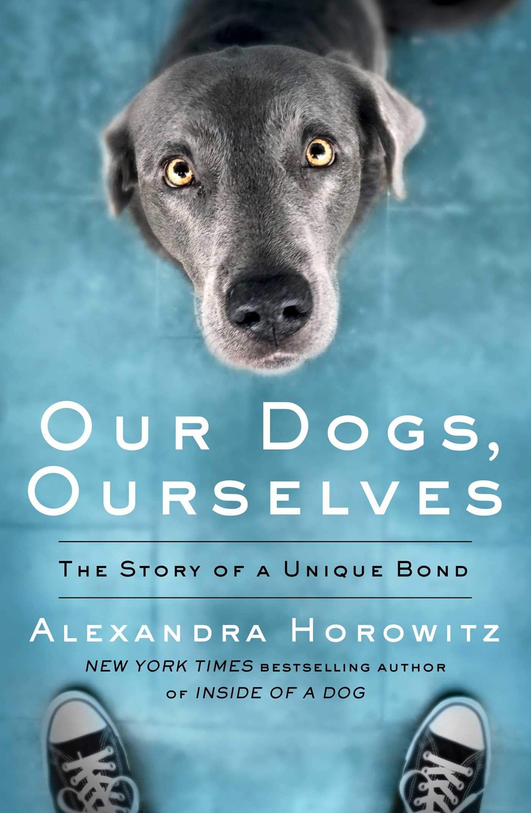 Our Dogs, Ourselves by Alexandra Horowitz NEW Free UK Delivery - Image 4