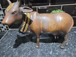 Antique Bronze Heavy Indian Kamdhenu cow Total weight 5KG