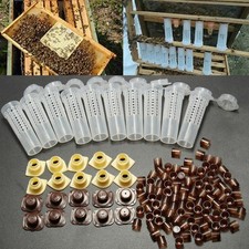 benutzerfreundliches Bienenaufzucht Cupkit System für erhöhte Bienenstockleist