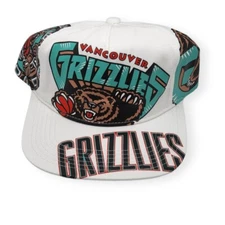 Mitchell & Ness Vancouver Grizzlies In Your Face Deadstock Adjustable Snapback