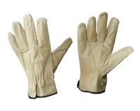 Box Partners Pigskin Leather Drivers Gloves Large Natural 3 Pairs/case Glv1061l on sale Box Partners Pigskin Leather Drivers Gloves Large Natural 3 Pairs/case Glv1061l on sale