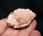 1.75" RHODOCHROSITE from Potosi mine, level 10, Santa Eulalia, Chihuahua, Mexico — photo 2