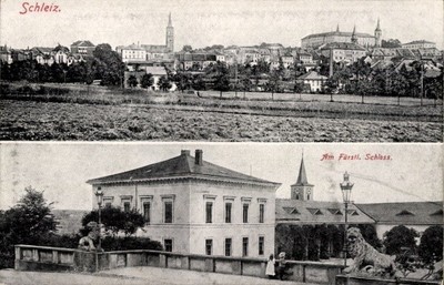 Ak Schleiz im Vogtland Thüringen, Stadtansicht  Fürstliches... - 4839913