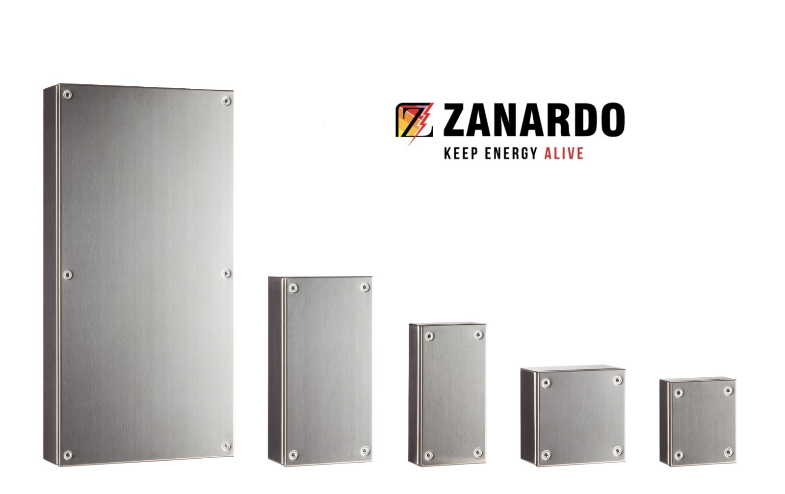 ZANARDO ES26A cassa derivazione INOX 304 L400xH300xP120mm con piastra interna