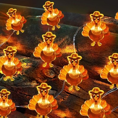 Sakayo [Timer] Fall Thanksgiving Turkey Lights Decorations, 10FT Warm White 