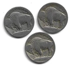 1913 Type 1 P D & S Buffalo Nickels - Free Shipping- A355