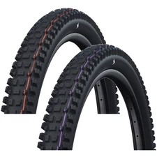 Schwalbe Albert Gravity Pro Mountain Tire Bundle 29"x2.60 Tubeless Ready,