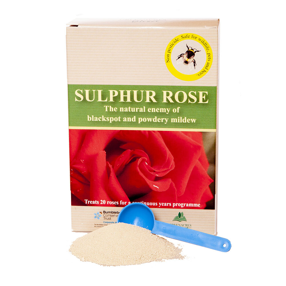 Rose Care Tonic, Sulphur Rose 250g, blackspot control, strong growth ...