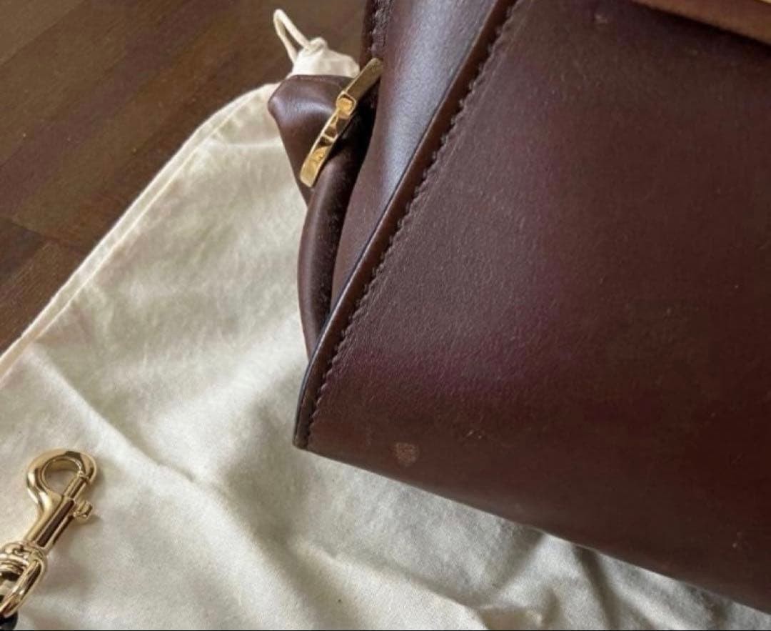 Salvatore Ferragamo Sofia 2way Handbag Shoulder Bag Brown image 8