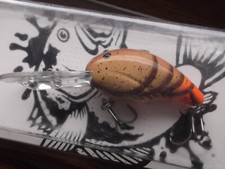 Special Run Bandit 300 PS40 Old Reliable Paint Shop Color