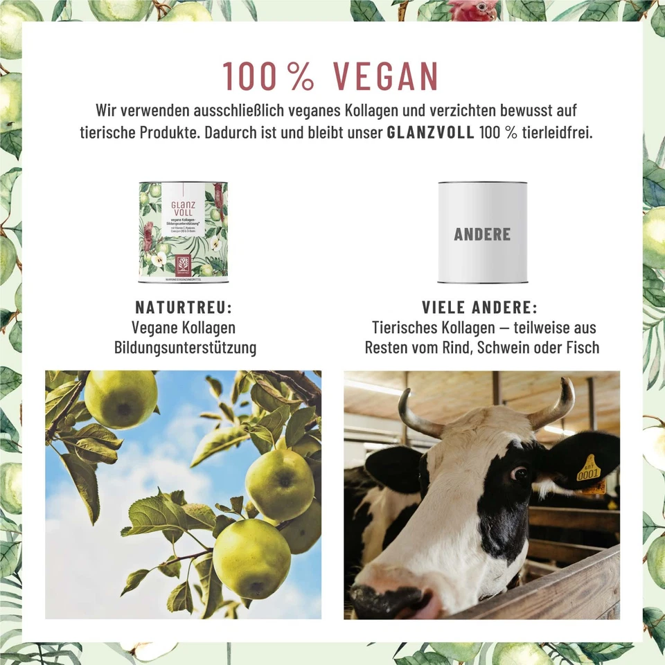 Hyaluronsäure Haut Haare Nägel Kollagen Pulver Vitamin C Glanzvoll NATURTREU® - Bild 4 von 4