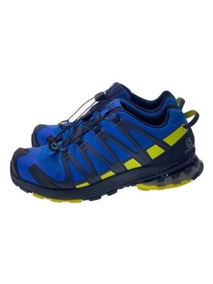 salomon/XA PRO 3D v8 GTX/low top sneakers/28cm/US10/BLU/Gore-Tex 
