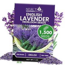 1500 English Lavender Seeds for Planting Outdoors or Indoors, 90 1 pack