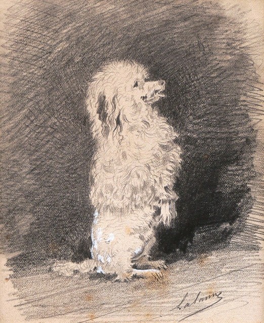 Dessin encadré tableau portrait chien caniche Maxime LALANNE peintre Bordeaux