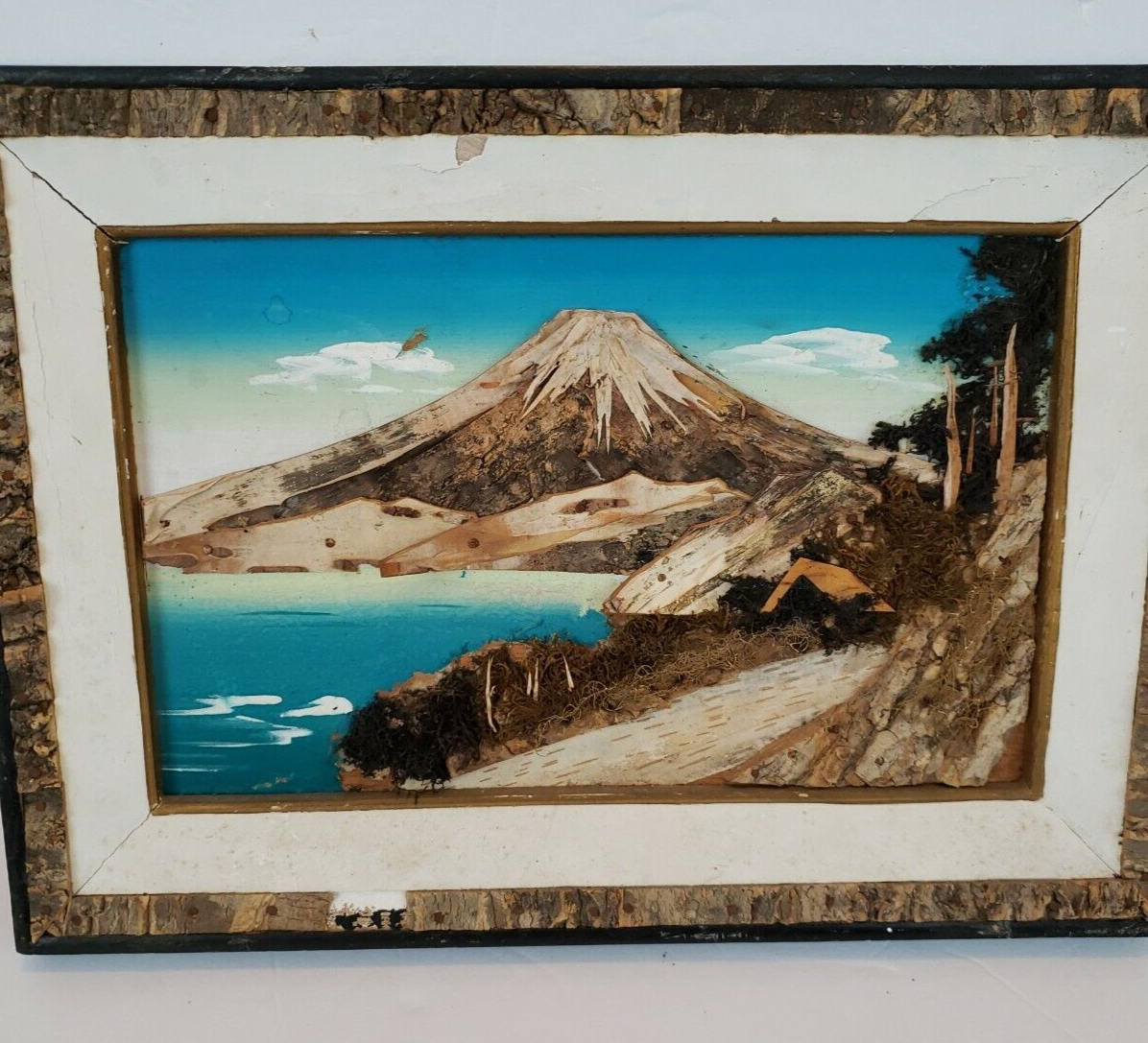 RAKUDA shina FARSHINA × OLD MOUNTAIN RAKUDA shina FARSHINA × OLD MOUNTAIN RAKUDA shina FARSHINA × OLD