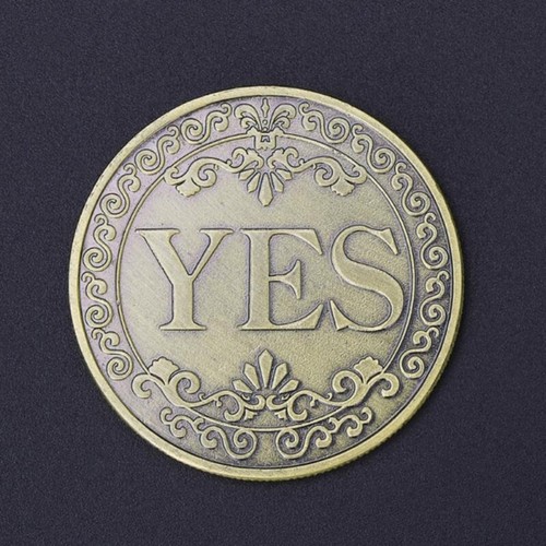 YES NO Flip Coin Decision Maker Choice Toss Tossing Coin Head or Tail - Picture 4 of 4