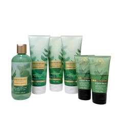 Bath  Body Works STRESS RELIEF EUCALYPTUS SPEARMINT Body Cream  Wash Set