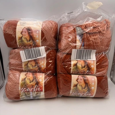 Lion Brand Scarfie Yarn 6 Skein Rust Cameo SAME DYE LOT Ombre Acrylic Wool Blend - Photo 1/4