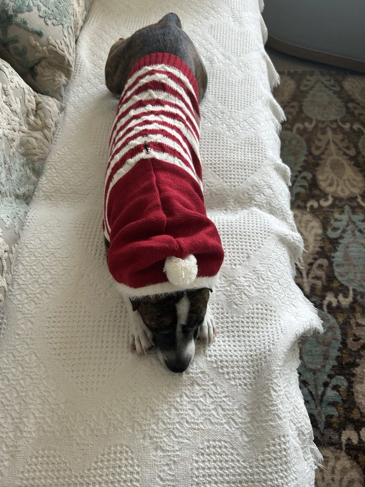 Suéter listrado vermelho com capuz Pet Holiday com Pom Pom médio - Imagem 3 de 4