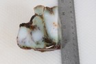 Turkey Dendritic Chrysoprase 9.4 oz. lapidary faced rough — photo 5