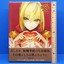 Fate EXTRA Ai Wada Arco Art Works Book (Hardcover) | eBay