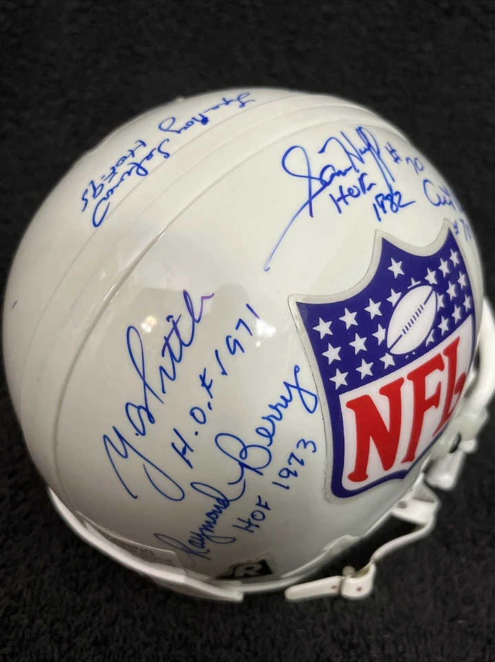 Lee Roy Selmon Bob St Clair Raymond Berry Sam Huff & More NFL 名人堂迷你头盔 — 第 4/4 张图片