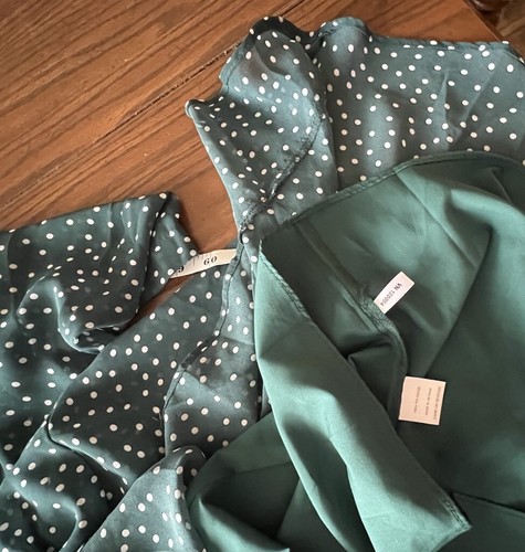 Eva Mendes Long Sleeve Dress Semi Sheer Lined Green Polka Dot NWT Lace Large - Picture 12 of 13