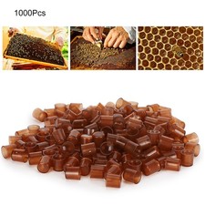1000Pcs Queen Bee Rearing Cup Mini Brown Platic Cell Cup Fertility Cell Bee