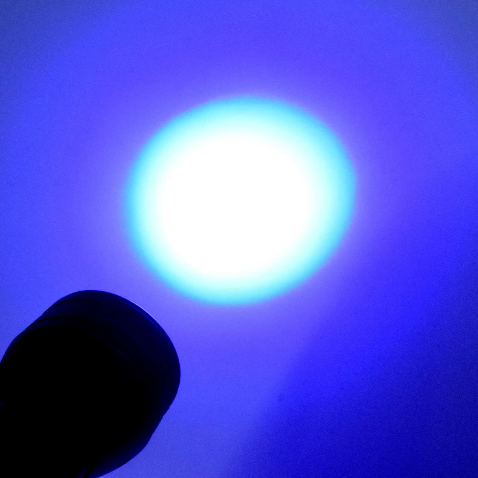Bild 7 von 14