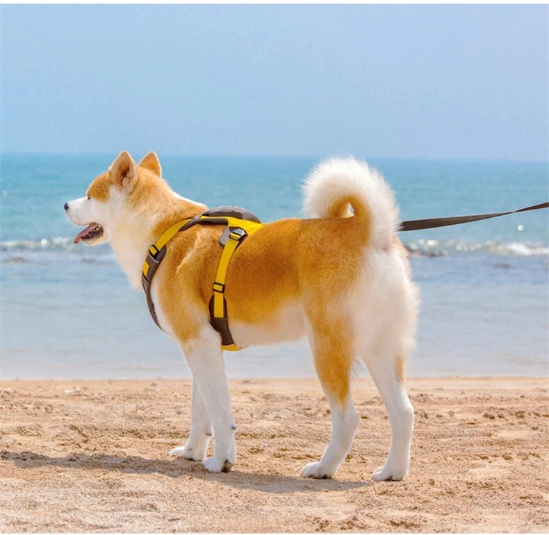 Dog Harness with Leash Set, No Pull Adjustable Reflective Step Puppy Harness.