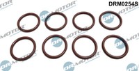 Dr.Motor Automotive DRM0254S Seal Ring Set, Injector For Opel