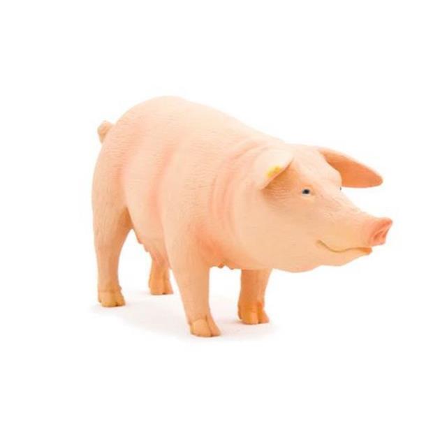 ANIMAL PLANET PIG (SOW)