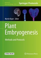 Martin Bayer | Plant Embryogenesis | Buch | Englisch (2020) | Xi | Humana