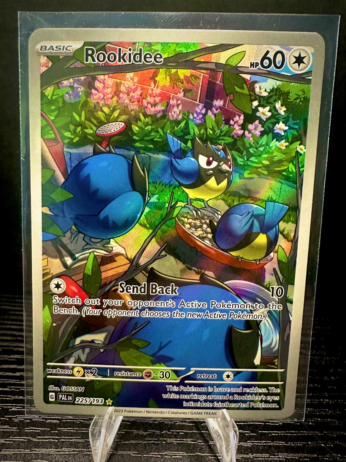 Rookidee 225/193 Paldea Evolved Full Art Illustration Rare Pokémon TCG Card NM
