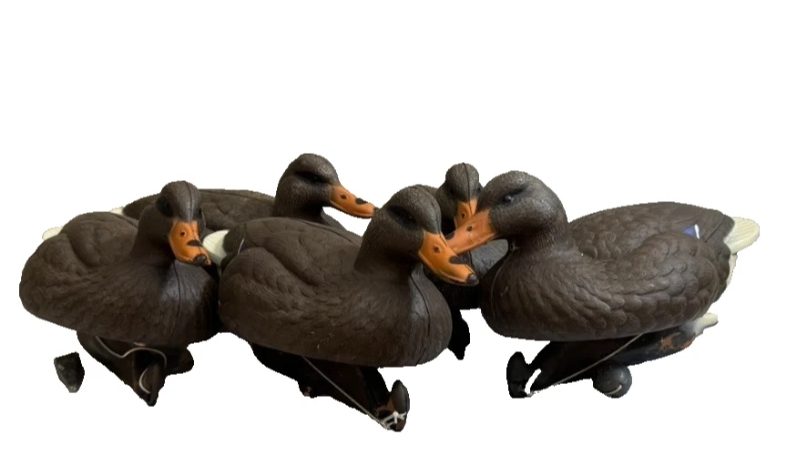 REDUCED! Flambeau Duck Decoy Flock - 5 Vintage Molded Plastic Hunting Mallards - Image 2 of 4