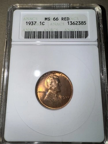 1937 Lincoln Wheat Cent / Penny 1c  MS66  RED ANACS Early Small Holder