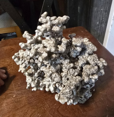 Aluminum Ant Colony Cast   Fire Ant Art   Natural Metal Sculpture   Unique Piece