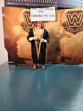 MATTEL WWE CUSTOM ULTIMATE EDITION THE IRON SHEIK CLASSIC LOOK  FREE SHIPPING