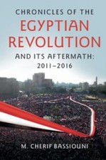 Chronicles of the Egyptian Revolution : And Its Aftermath, 2011-2