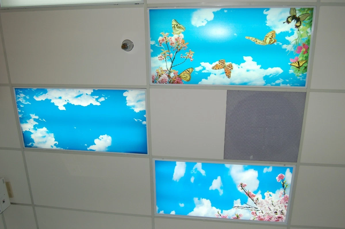 Fluorescent Light Diffusers Australia Shelly Lighting